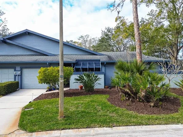 90 Morning Dove Pl, Oldsmar, FL 34677