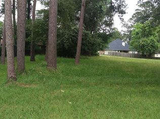 12002 Thoreau Dr, Montgomery, TX 77356