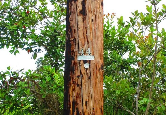 4th image of Road 9 Koloa Maoli Lot 5319