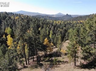 38 Wa Hi Rd, Divide, CO 80814