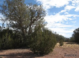 54374 N Castano Rd, Seligman, AZ 86337