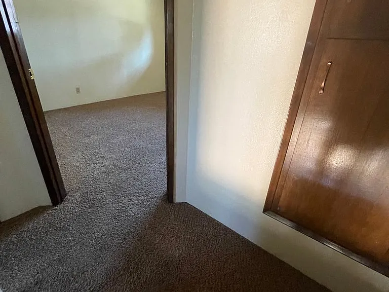 Bailey — Photo 23