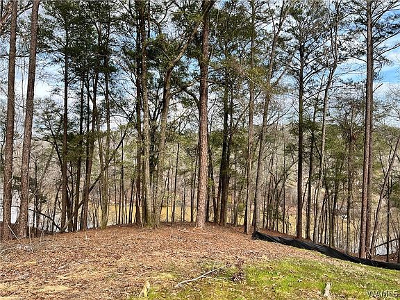 4th image of LOT 74 Highpoint Cv