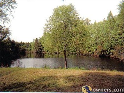view of one of two ponds