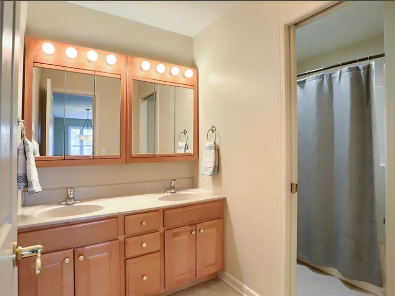 10 Spring View Ct — Photo 24