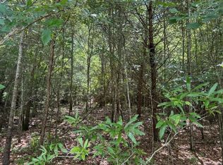 0 Meadow Ln LOT 1732, Talking Rock, GA 30175