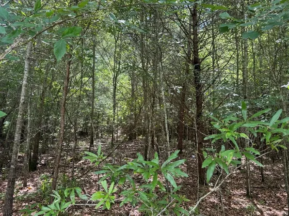 0 Meadow Ln Lot 1732, Talking Rock, GA 30175