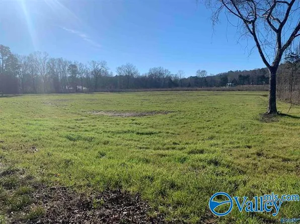 2.92 Rock Store Rd, Guntersville, AL 35976