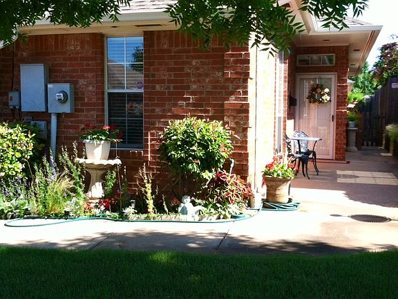 Front Yard and Patio