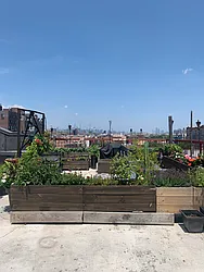 Rented by City Vista Inc