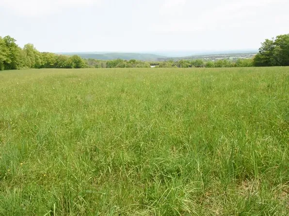 0 Bull Hill Rd, Newfield, NY 14867