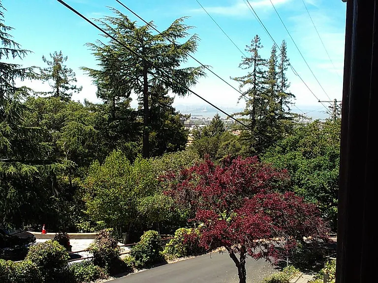 2705 Virginia St — Photo 7