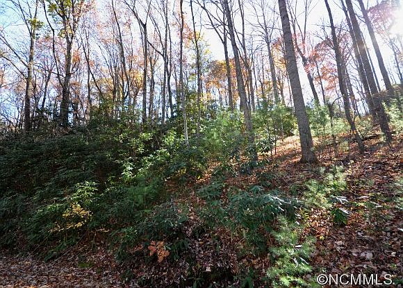 2nd image of 111 Deer Run Ln