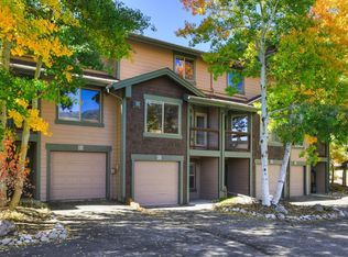 203 Kestrel Lane #203, Silverthorne, CO 80498