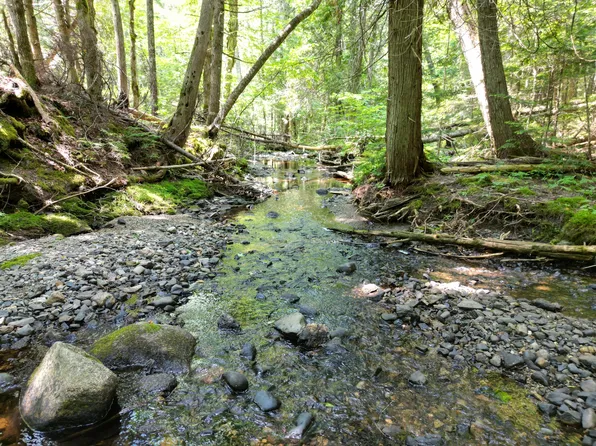 Lot 7 Dirty Glove Road, Springfield, ME 04487