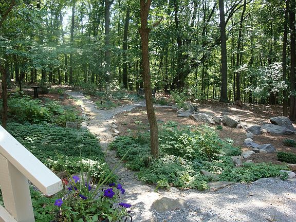 Front garden & woods