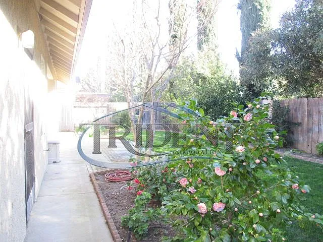 1902 Autumnwood Dr — Photo 24