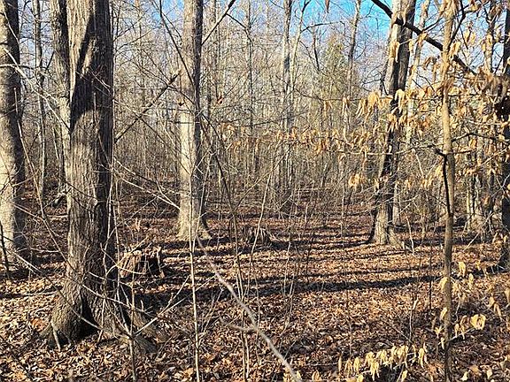 5th image of 20-23 Bear Hollow Ln