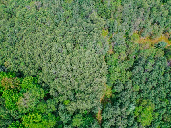 V/l Forest Dr Parcel 7, Cadillac, MI 49601