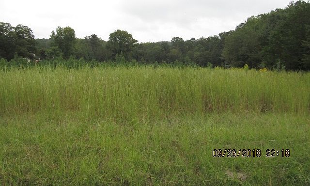2nd image of Watson Rd
