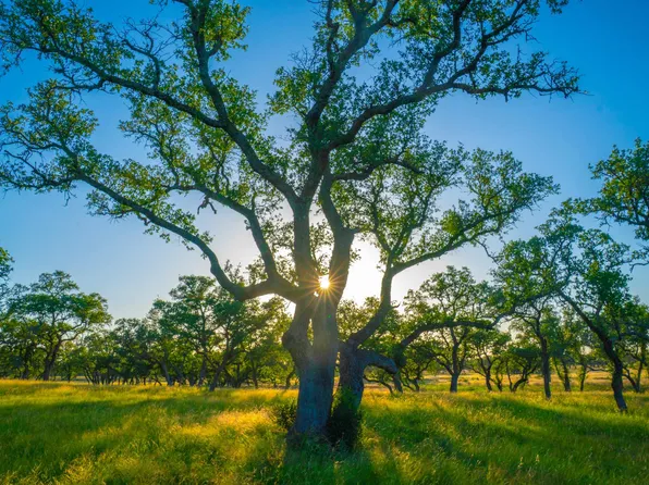 0 Bountiful Oaks, Johnson City, TX 78636