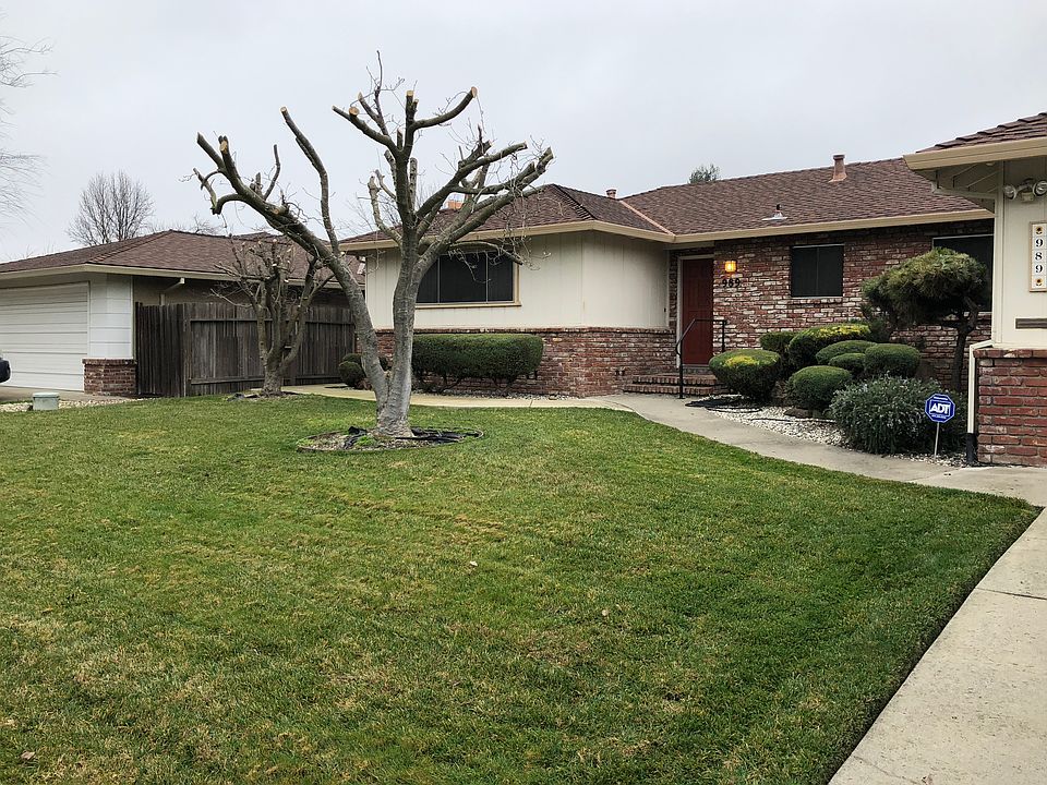 Front Yard
