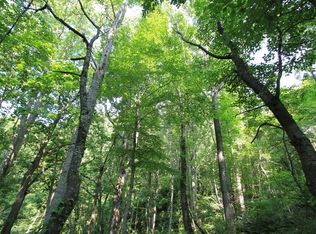 108 Point Lookout Ln, Independence, VA 24348