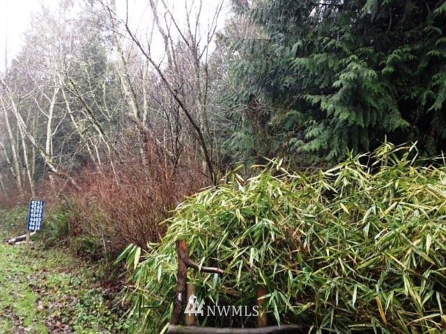 2nd image of 0 XXX NE Country Woods Lane