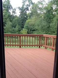 Deck with Tree View