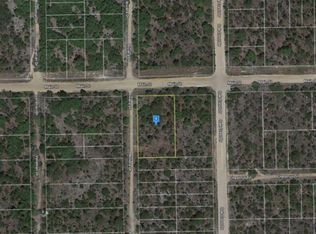 140 Riviera Ln, Interlachen, FL 32148