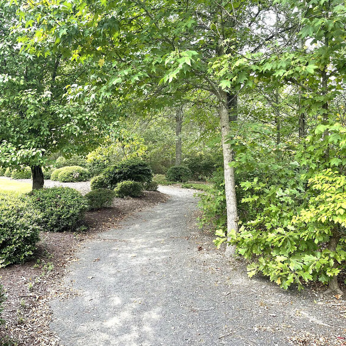 3 bed, 3.0 bath, 2344 sqft, $2,100 — Photo 3