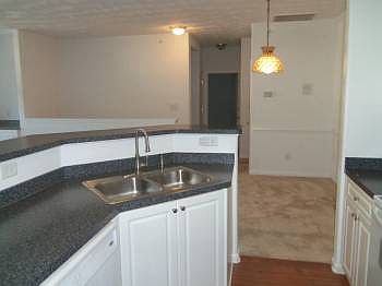 5th image of 2807 Crescent Moon Ct