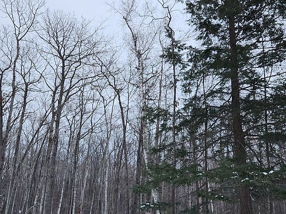 4th image of 8108 Deer Ridge Ct