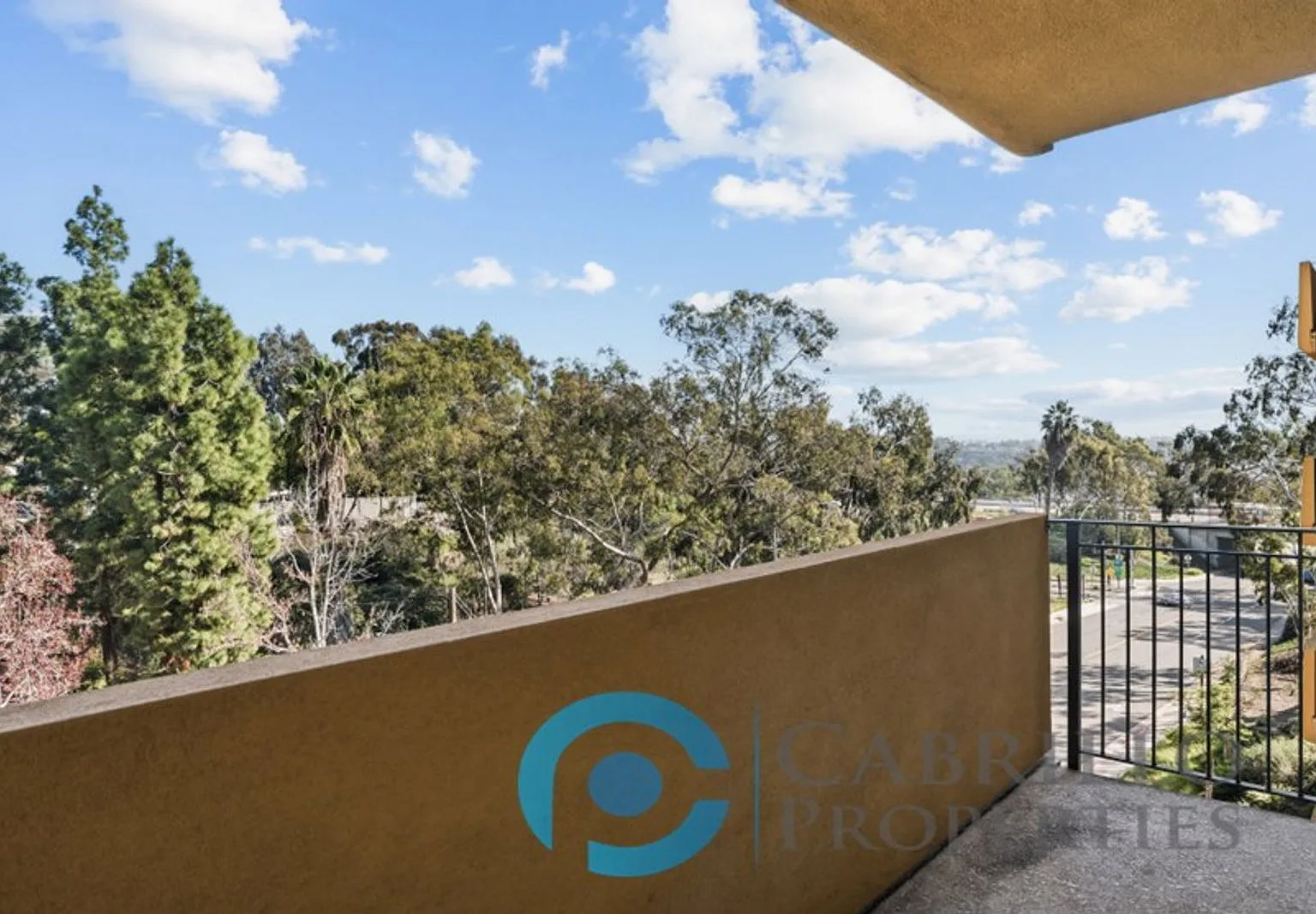2 bed, 2.0 bath, 996 sqft, $3,300 — Photo 3