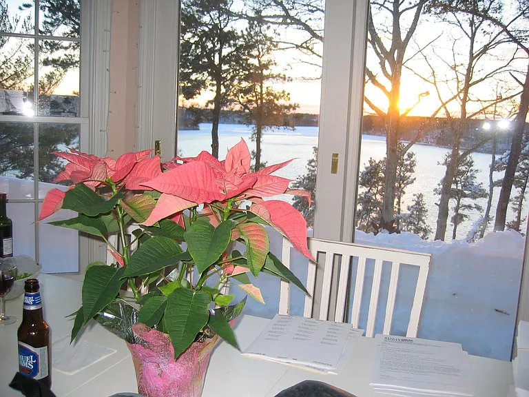 258 Sheep Pond Dr — Photo 15