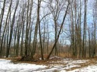 9725 Old M 78, Haslett, MI 48840