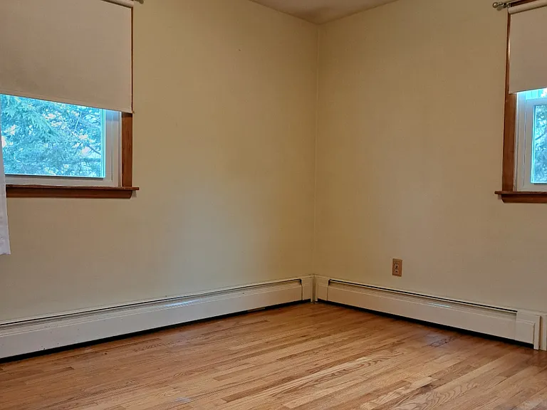 254 Alfred St — Photo 1