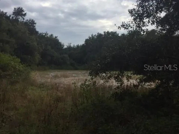 Joe King Rd, Plant City, FL 33567
