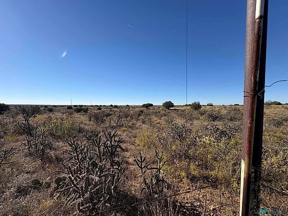 2nd image of 9 Quail Ln