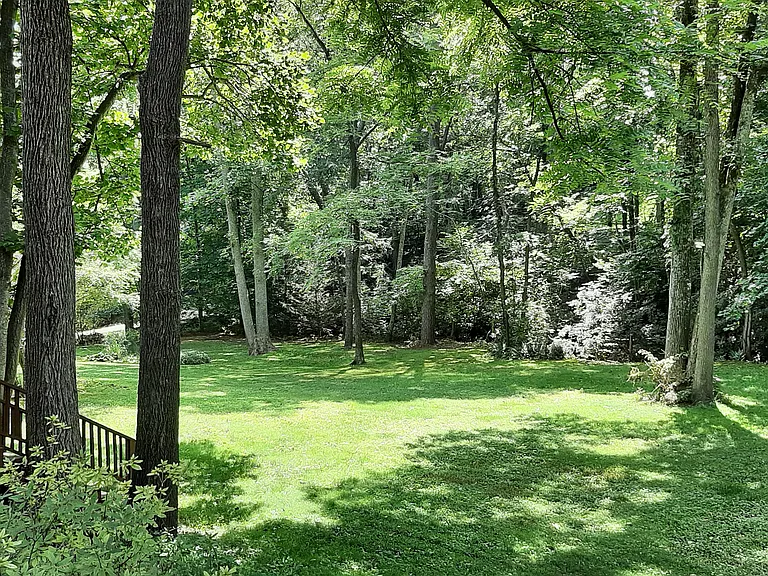 54 Avery Creek Rd — Photo 2