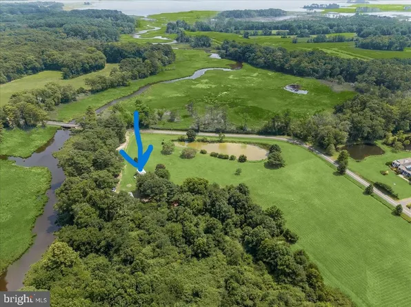 6969 Cherrix Rd, Girdletree, MD 21829