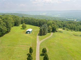 146 Mary Brown Hill Rd, Laurens, NY 13796