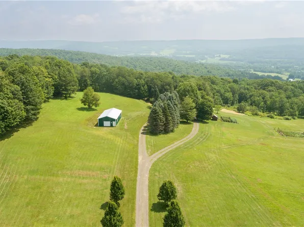 146 Mary Brown Hill Rd, Laurens, NY 13796