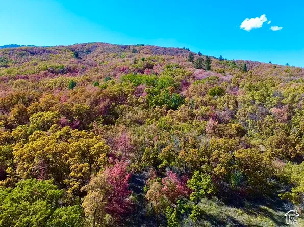 4601 N 2900 E, Eden, UT 84310