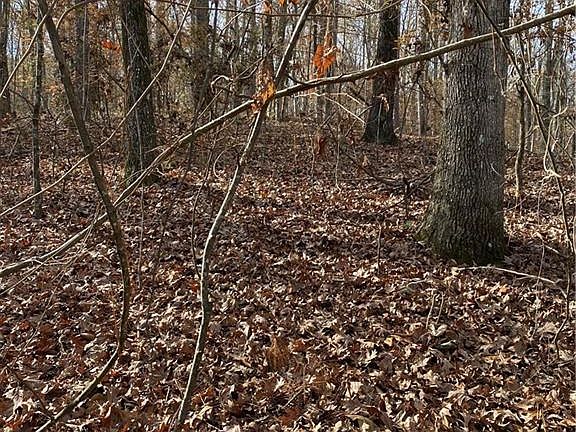 3rd image of 1490 Indian Woods Dr Lot 38