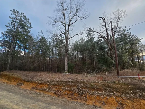 0 C Smith Rd, Leesville, LA 71446