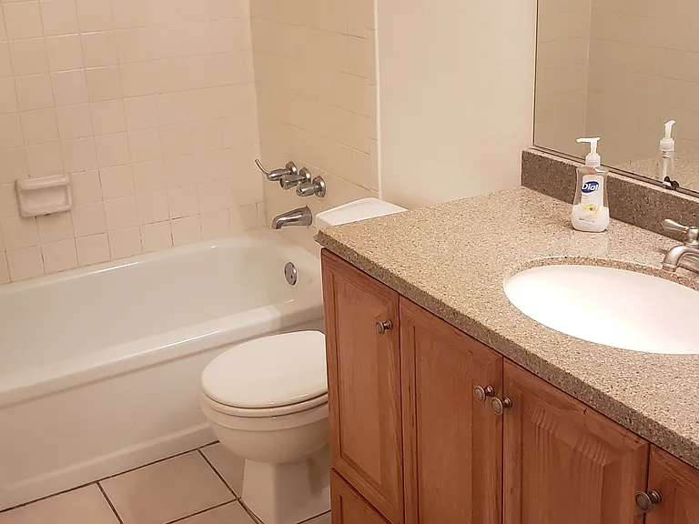 Guest bath