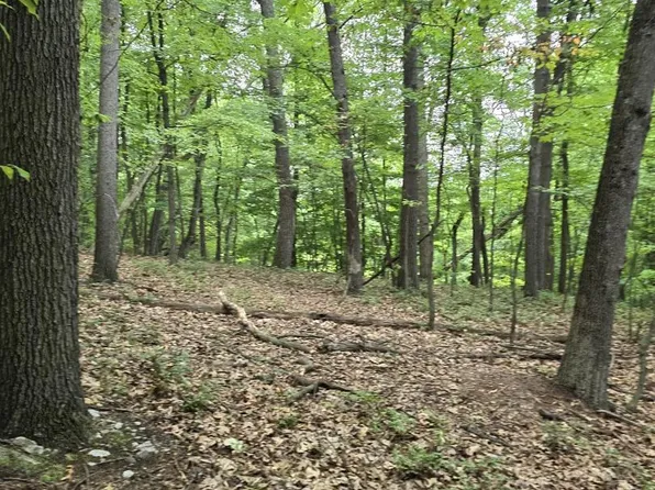 0 S Mountain Rd, Dillsburg, PA 17019