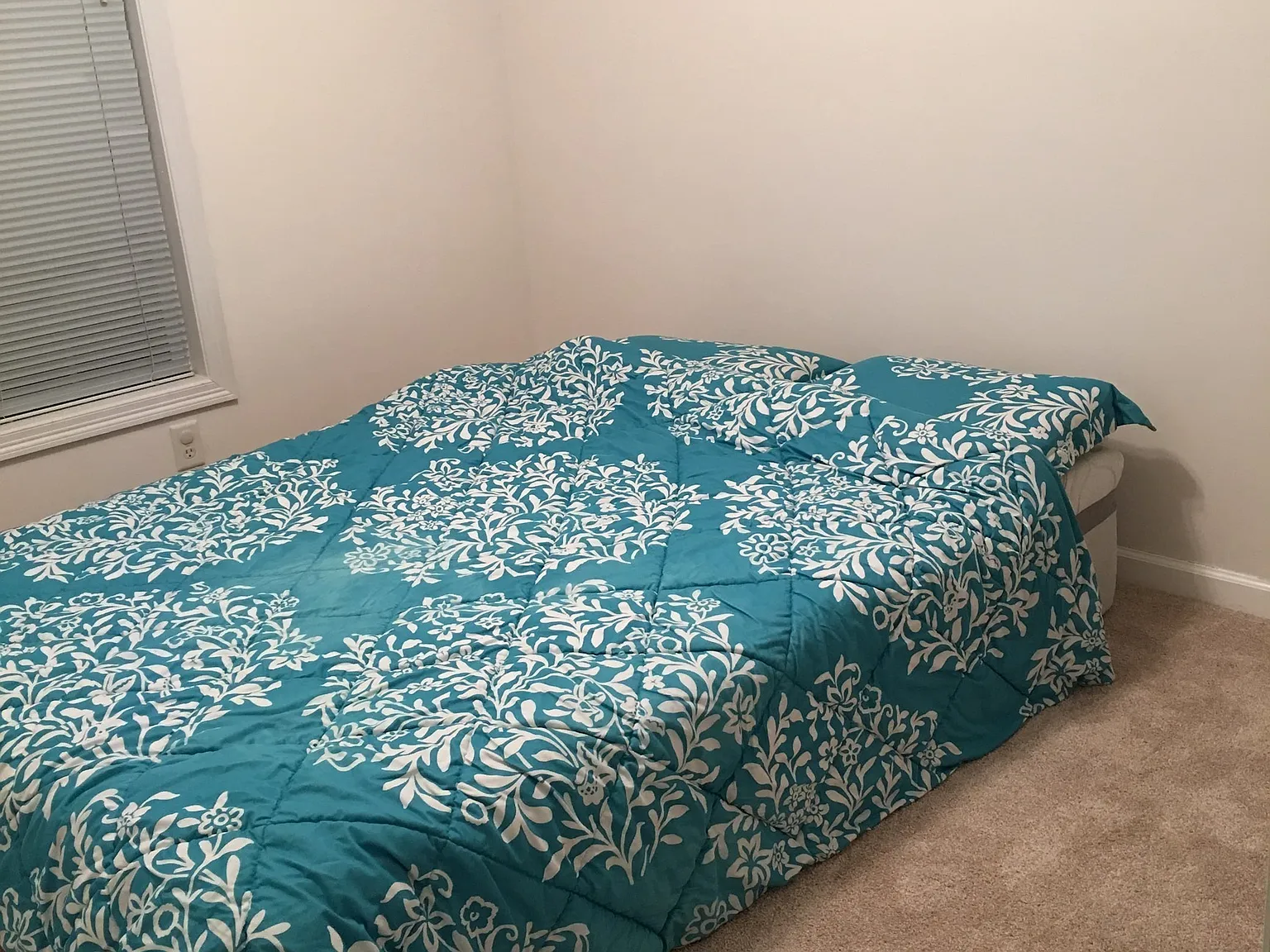 3 bed, 1.5 bath, 1406 sqft, $2,700 — Photo 3