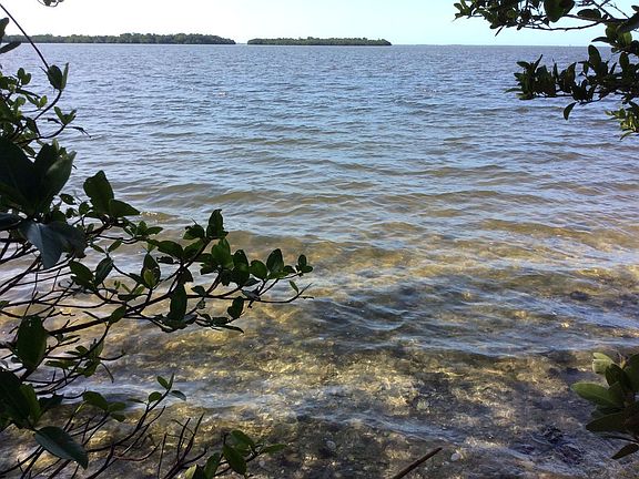 Pine Island Sound view
